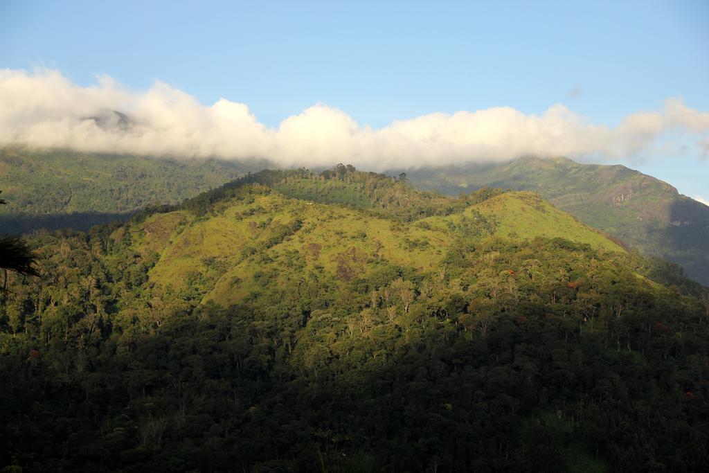 Ecotones Munnar By Eden Environs Hotel Екстериор снимка