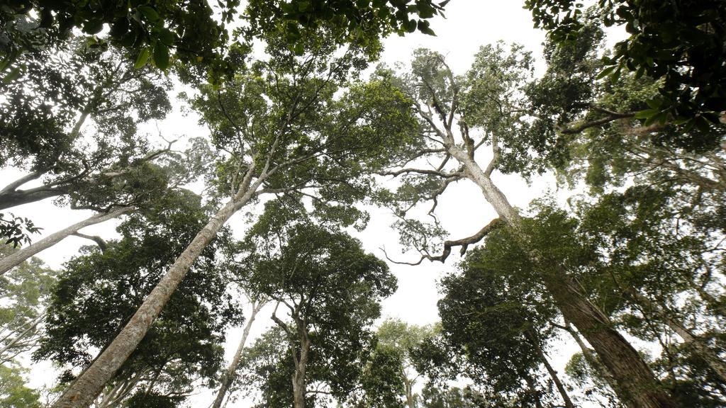 Ecotones Munnar By Eden Environs Hotel Екстериор снимка