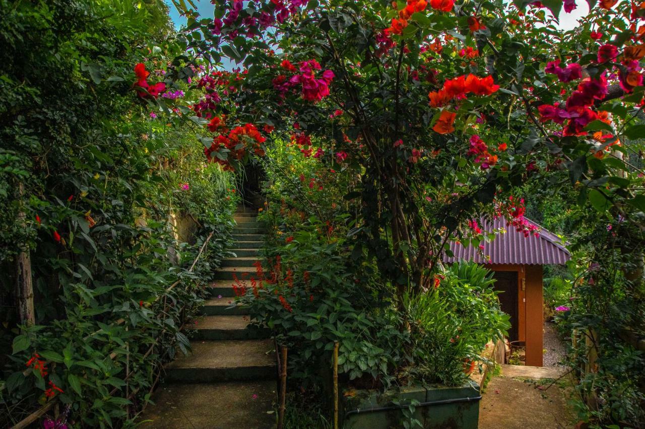 Ecotones Munnar By Eden Environs Hotel Екстериор снимка