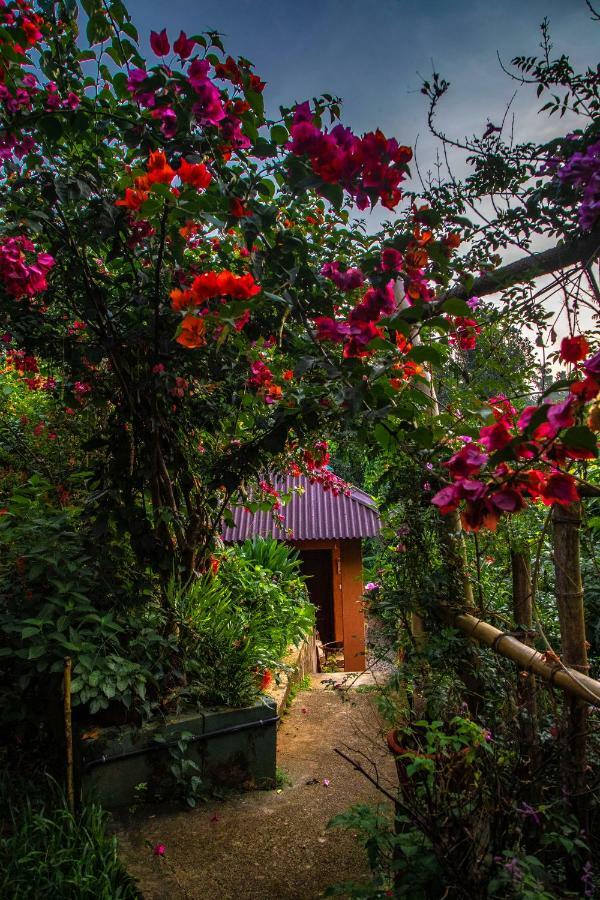 Ecotones Munnar By Eden Environs Hotel Екстериор снимка